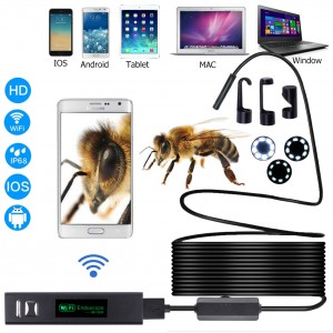 F150 HD Wifi endoskop 5m